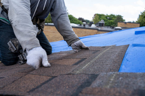 Best Shingle Roofing Installation  in Masury, OH
