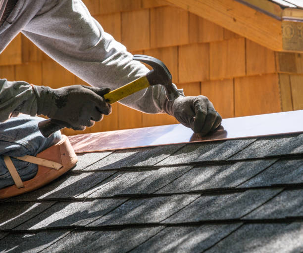 Best Roof Gutter Cleaning  in Masury, OH